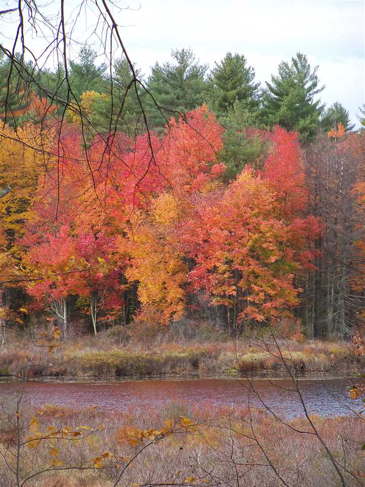 828 Berry River Road, Unit 52 Barrington, NH 03825 - Photo 17 of 17