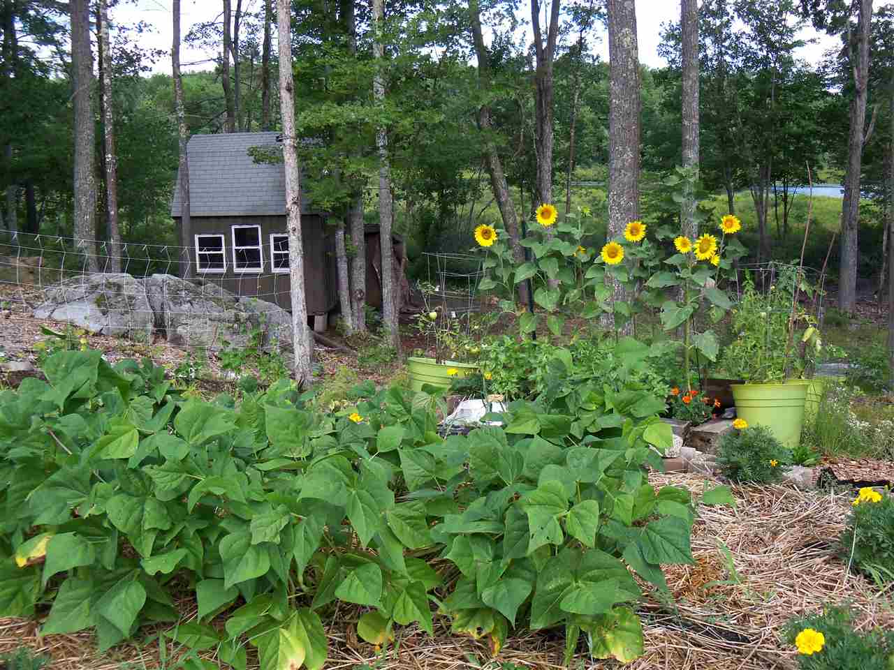 828 Berry River Road, Unit 52 Barrington, NH 03825 - Photo 8 of 17