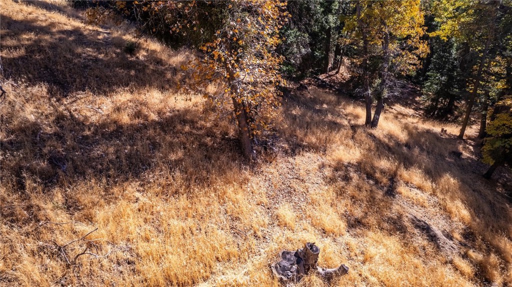 0 Mojave Road Cedarpines Park, CA 92322 - Photo 15 of 41