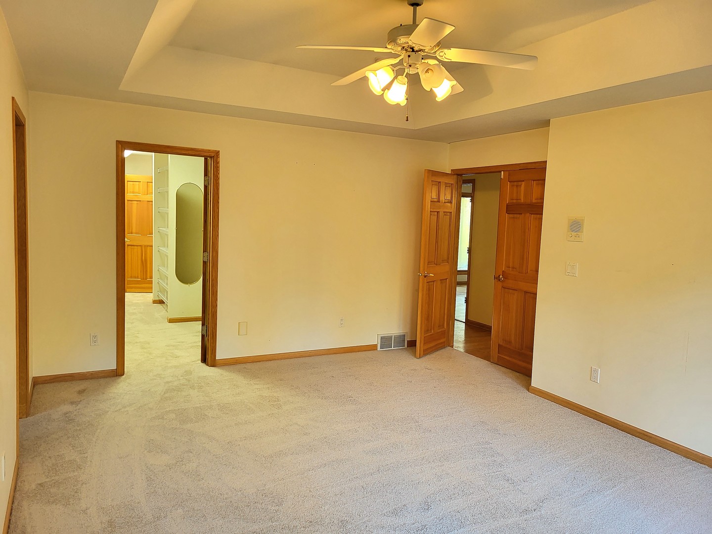 10120 East Hickory Ridge Drive Rochelle, IL 61068 - Photo 13 of 39 an empty room with chandelier fan and closet area