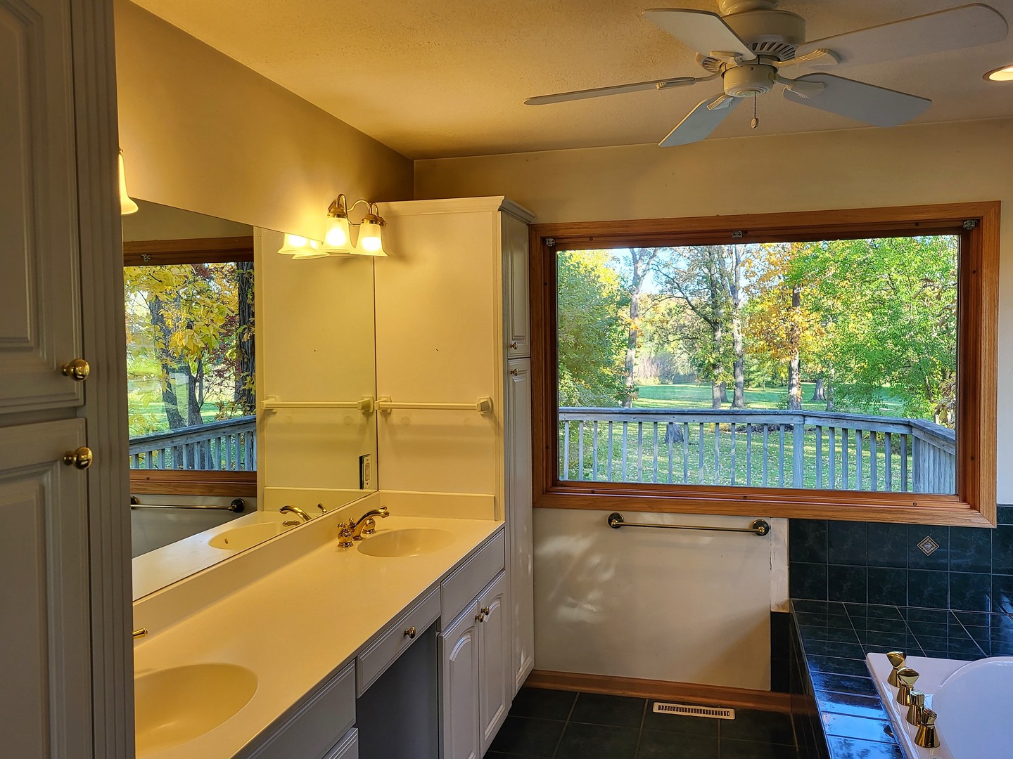 10120 East Hickory Ridge Drive Rochelle, IL 61068 - Photo 16 of 39 a bathroom with a sink mirror and a large window
