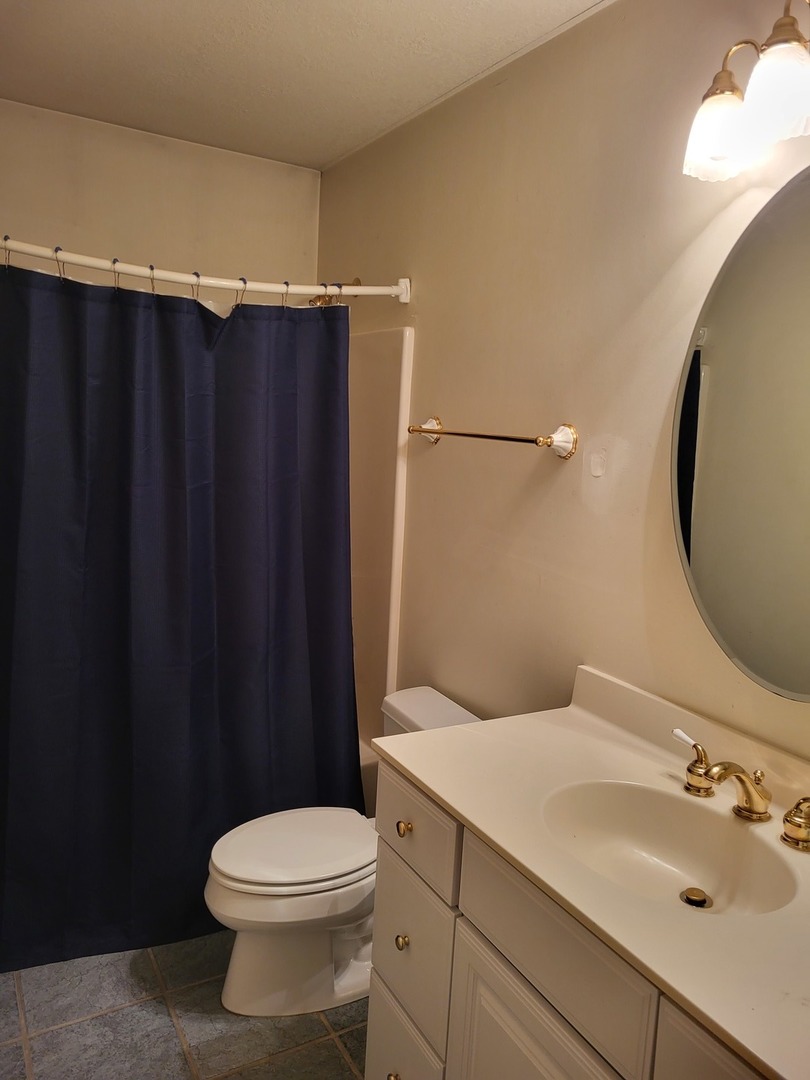 10120 East Hickory Ridge Drive Rochelle, IL 61068 - Photo 22 of 39 a bathroom with a sink and a toilet