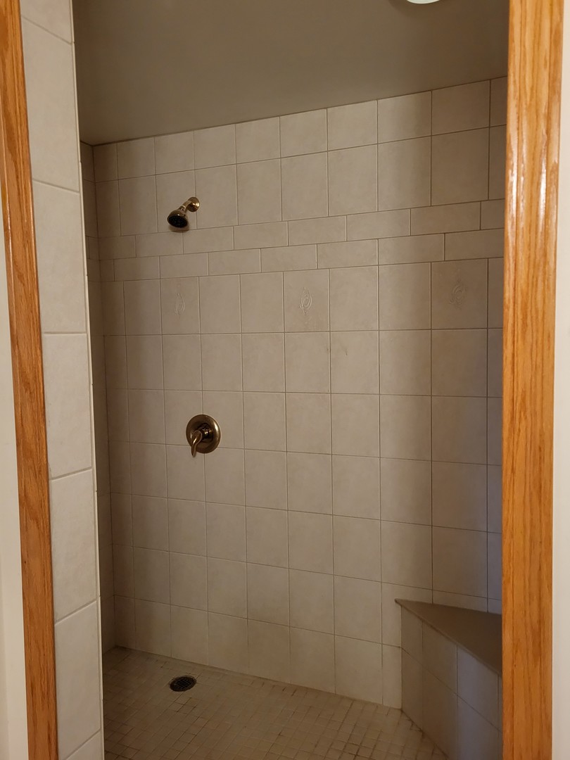 10120 East Hickory Ridge Drive Rochelle, IL 61068 - Photo 30 of 39 a bathroom with a shower