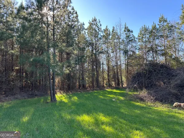 a view of a yard with a tree
