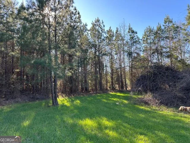 a view of a yard with a tree