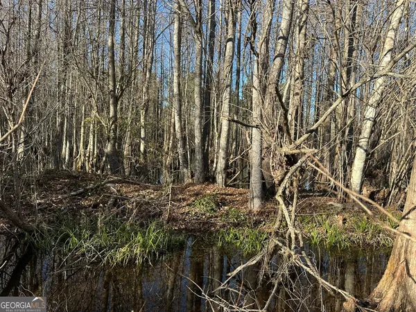 $145,320 | 12 Mt Zion Road, Gordon, AL 36343