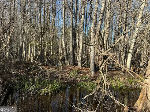 $145,320 | 12 Mt Zion Road, Gordon, AL 36343