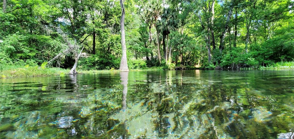 19660 Southwest 83rd Place Road, Unit C16 Dunnellon, FL 34432 - Photo 81 of 91