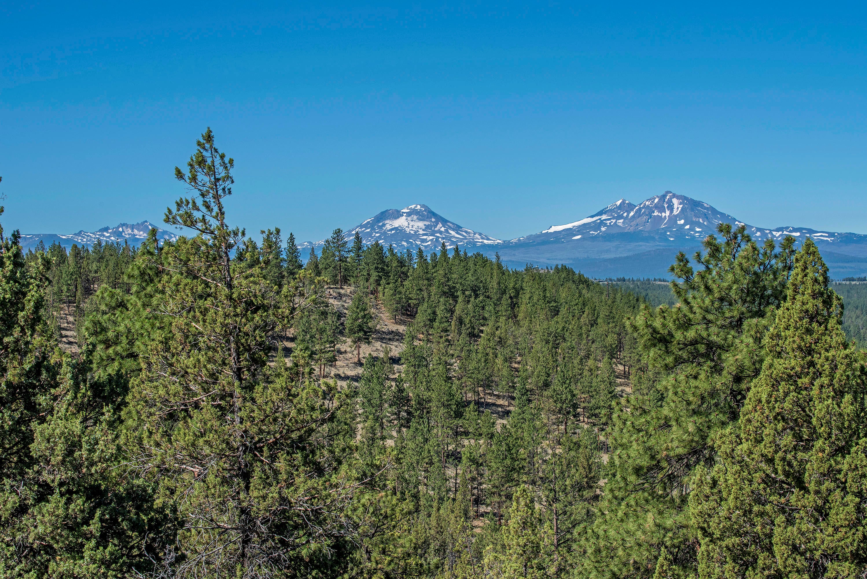 17990 Mountain View Road Sisters, OR 97759 - Photo 9 of 21 DSC_8266
