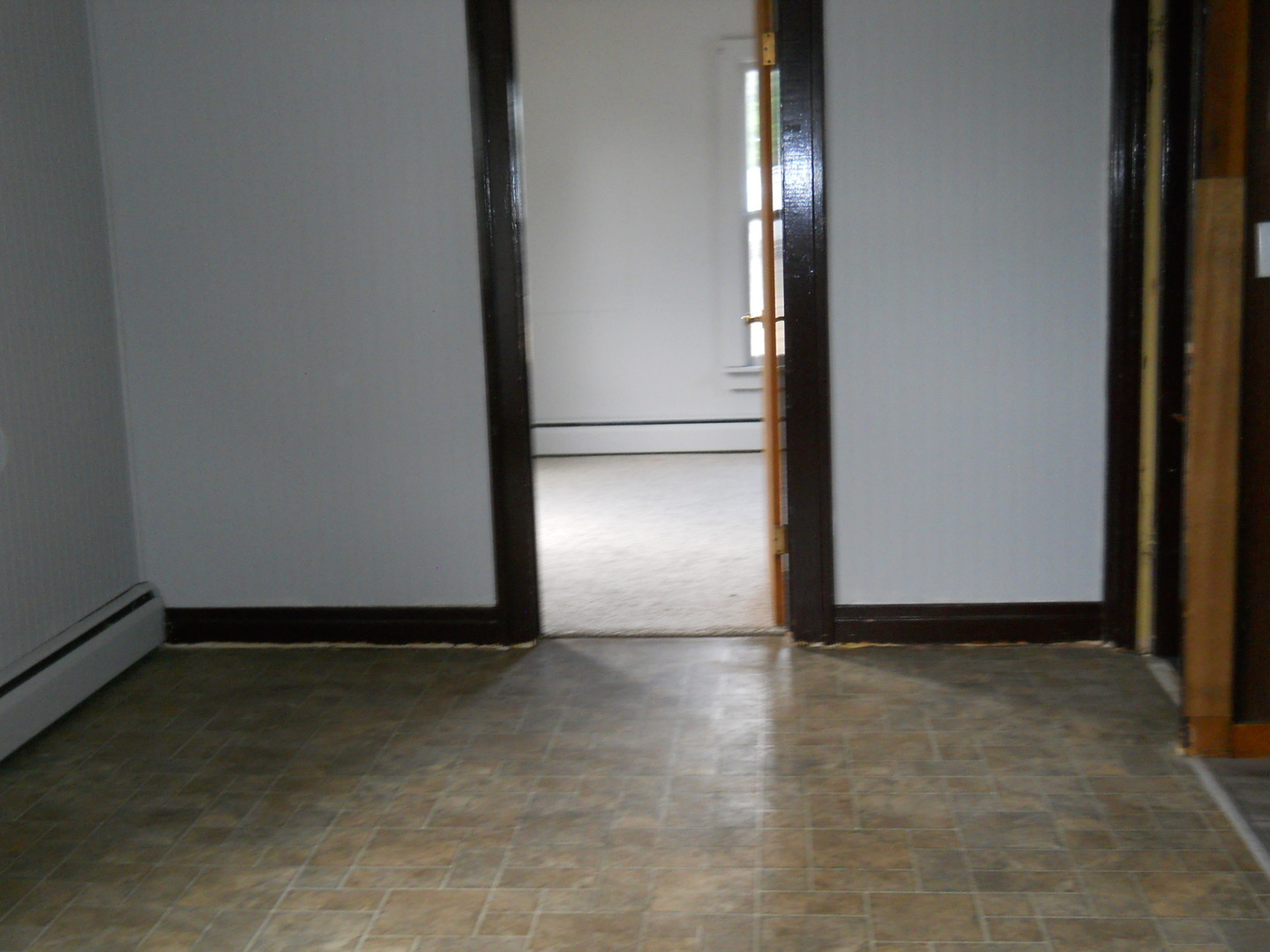 106 North Butler Street Nelson, IL 61021 - Photo 7 of 23