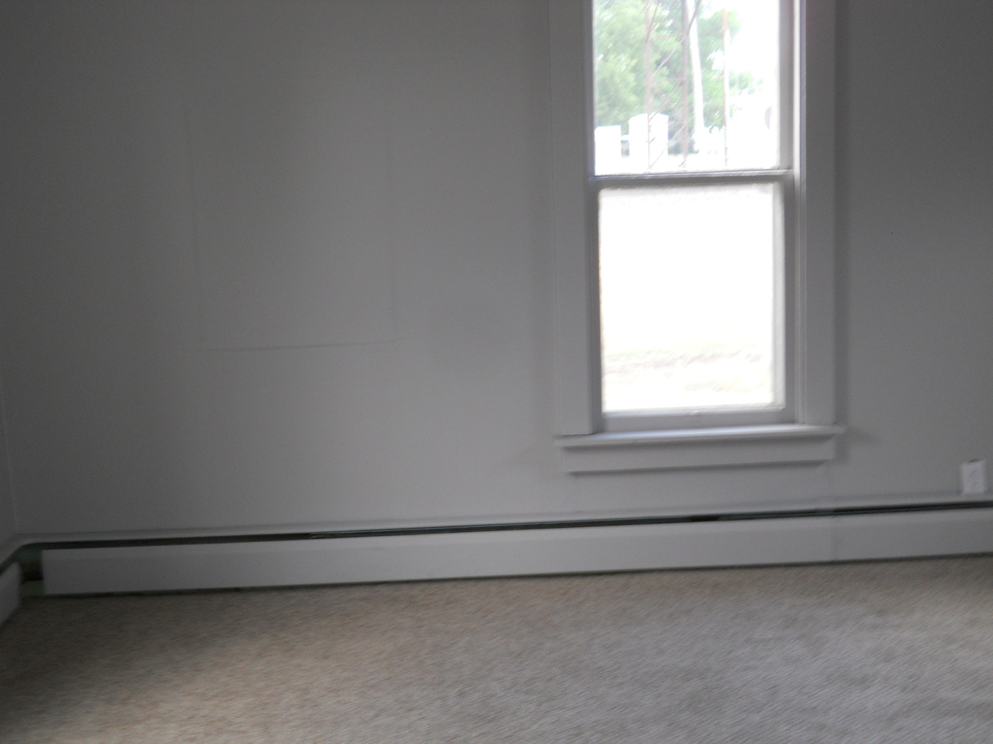106 North Butler Street Nelson, IL 61021 - Photo 9 of 23