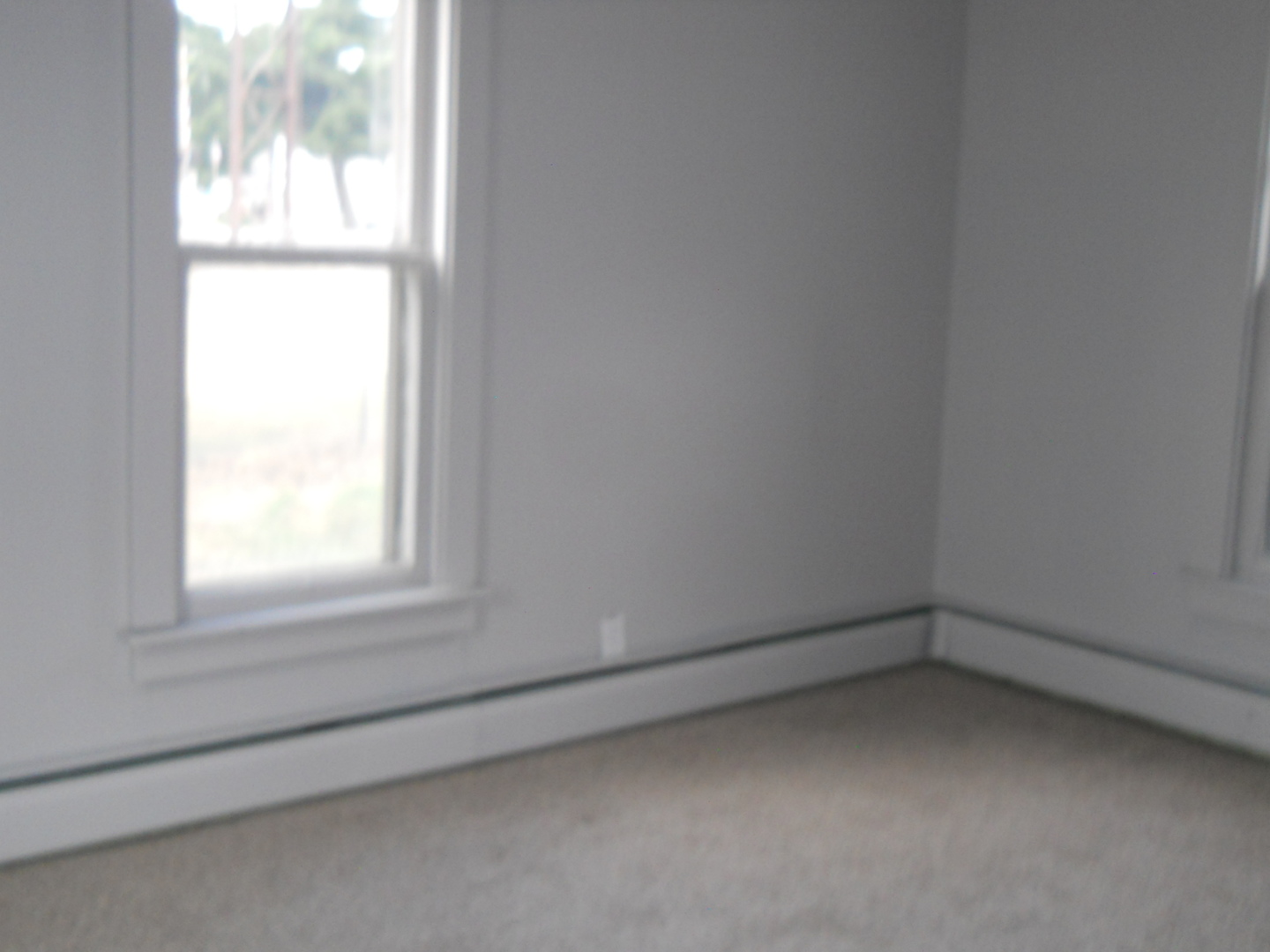 106 North Butler Street Nelson, IL 61021 - Photo 10 of 23