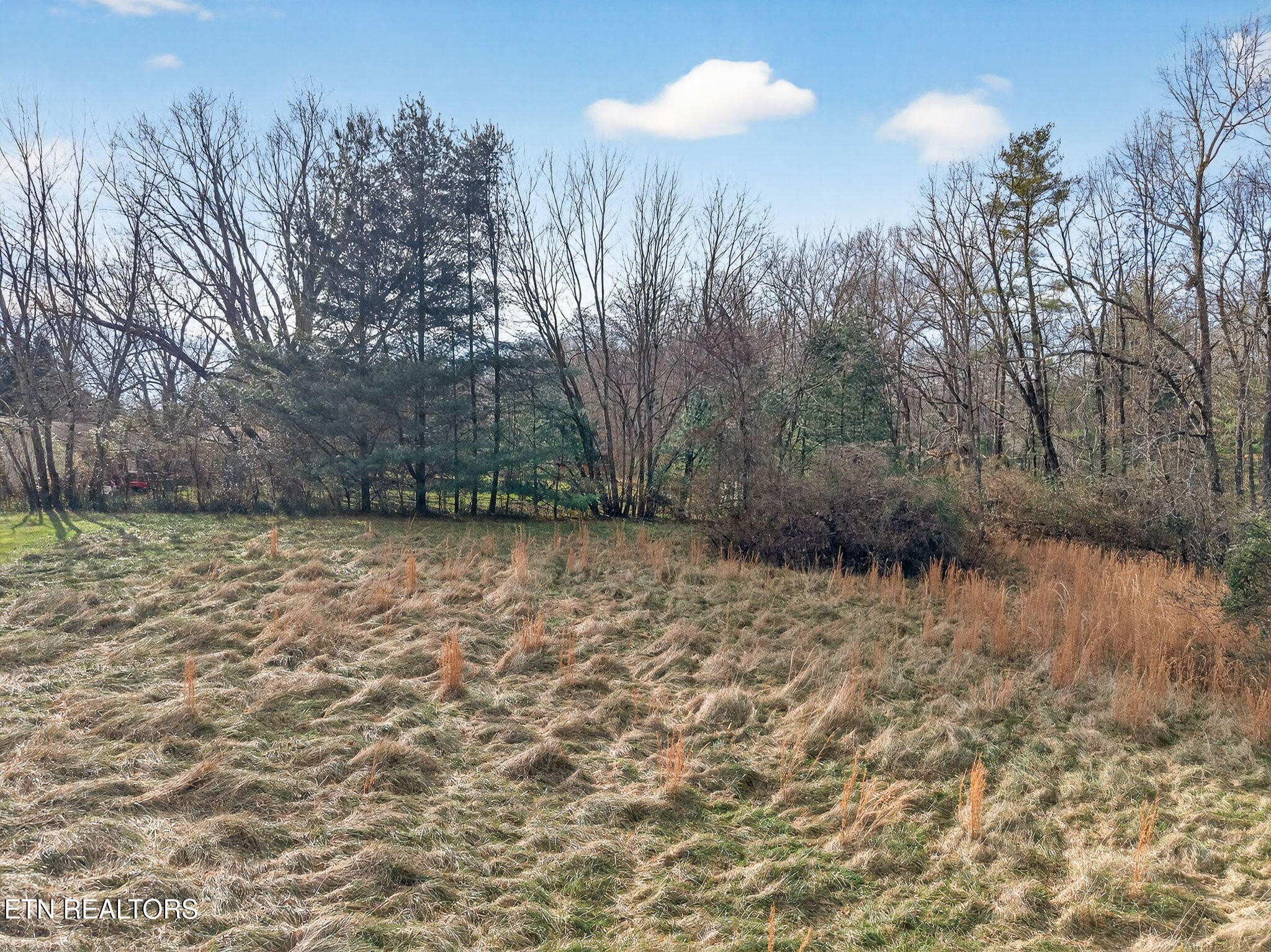 0 Pigeon Ridge Road Crossville, TN 38572 - Photo 9 of 14 Gallery Image 9