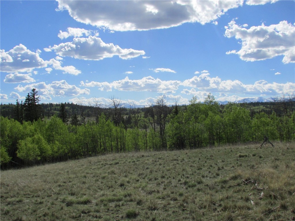 55 Mallard Road Como, CO 80432 - Photo 2 of 12 Gallery Image 2