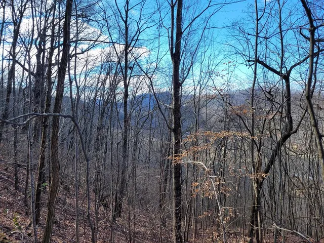 $33,000 | 69 Colt Run, Hayesville, NC 28904