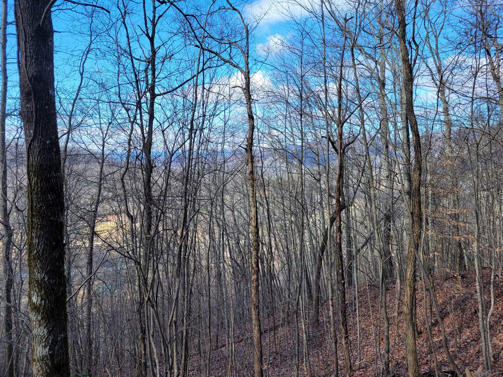 69 Colt Run Hayesville, NC 28904 - Photo 11 of 17