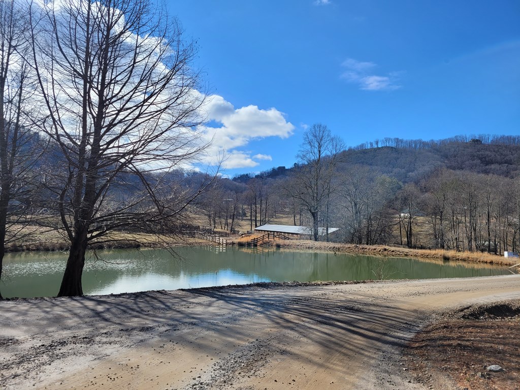 69 Colt Run Hayesville, NC 28904 - Photo 15 of 17