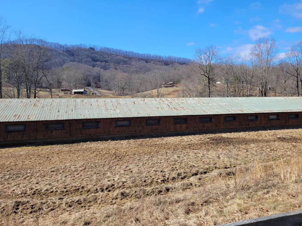 69 Colt Run Hayesville, NC 28904 - Photo 16 of 17