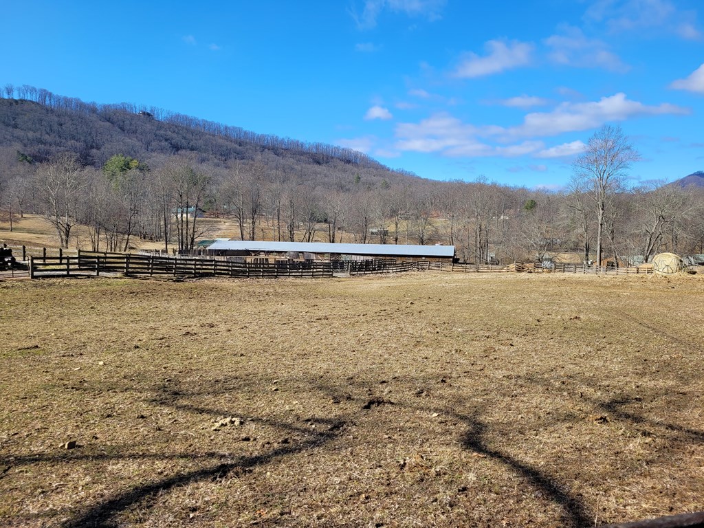 69 Colt Run Hayesville, NC 28904 - Photo 17 of 17