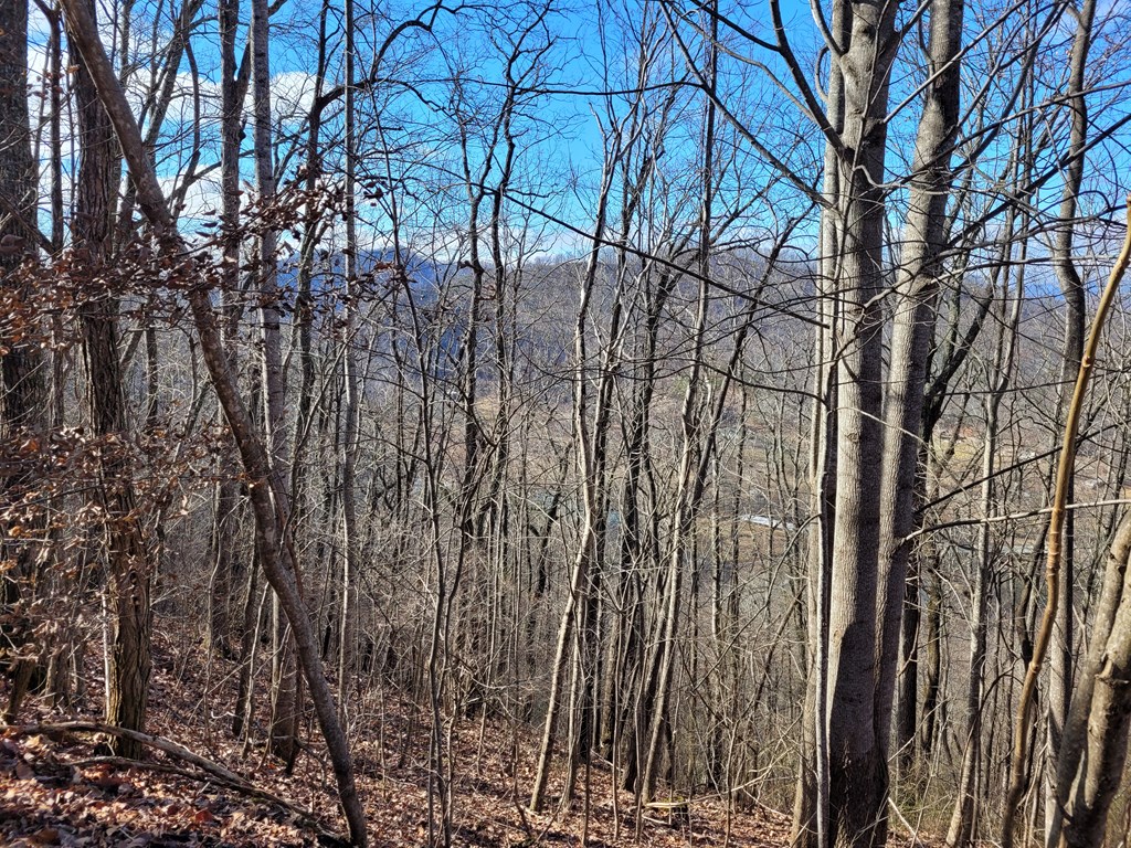 69 Colt Run Hayesville, NC 28904 - Photo 3 of 17