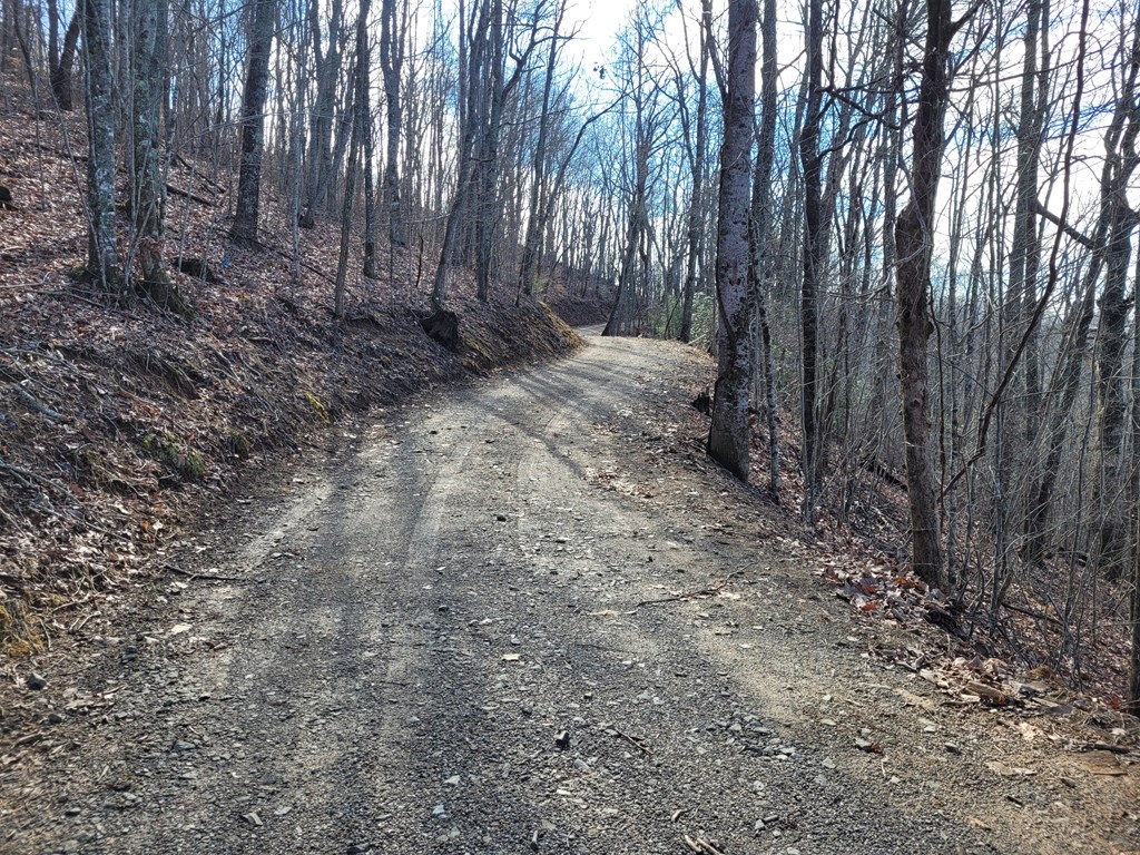 69 Colt Run Hayesville, NC 28904 - Photo 4 of 17