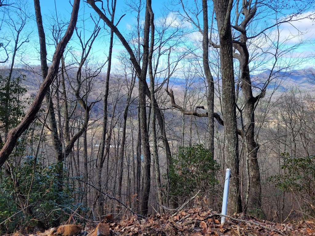 69 Colt Run Hayesville, NC 28904 - Photo 5 of 17