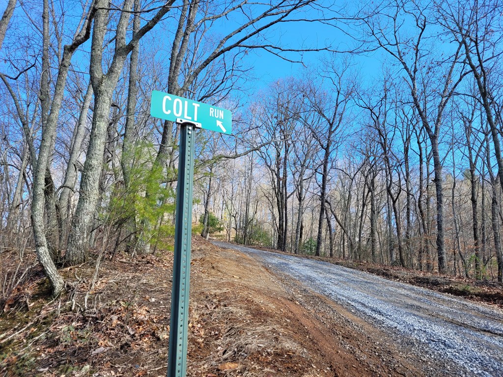 69 Colt Run Hayesville, NC 28904 - Photo 6 of 17