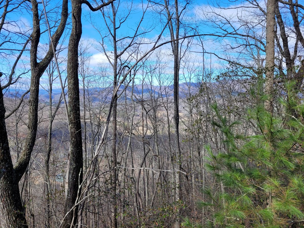 69 Colt Run Hayesville, NC 28904 - Photo 7 of 17