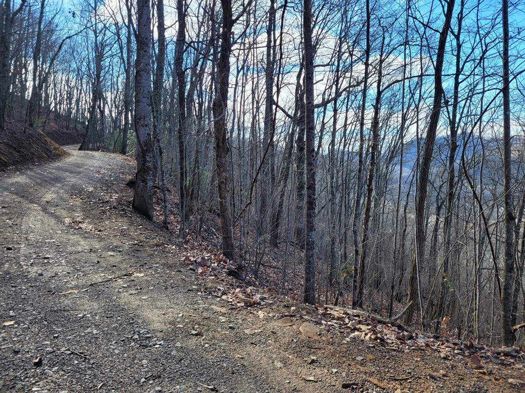 69 Colt Run Hayesville, NC 28904 - Photo 8 of 17