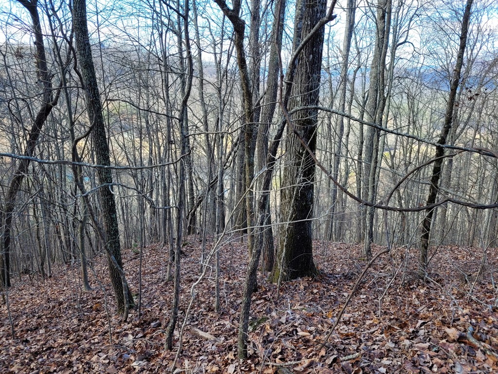 69 Colt Run Hayesville, NC 28904 - Photo 9 of 17