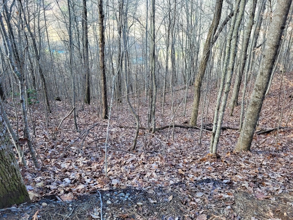 69 Colt Run Hayesville, NC 28904 - Photo 10 of 17