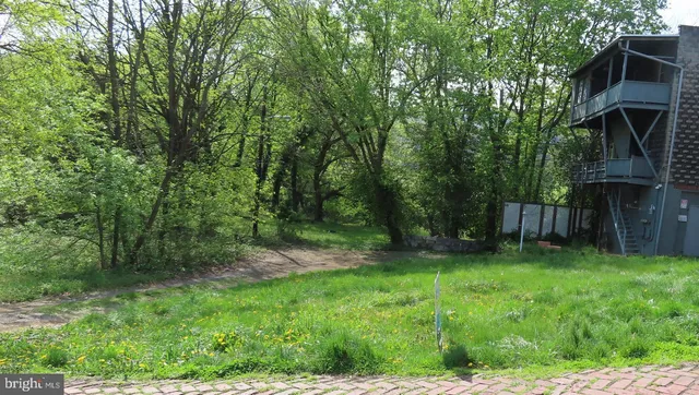 a view of a backyard with potted plants and large trees