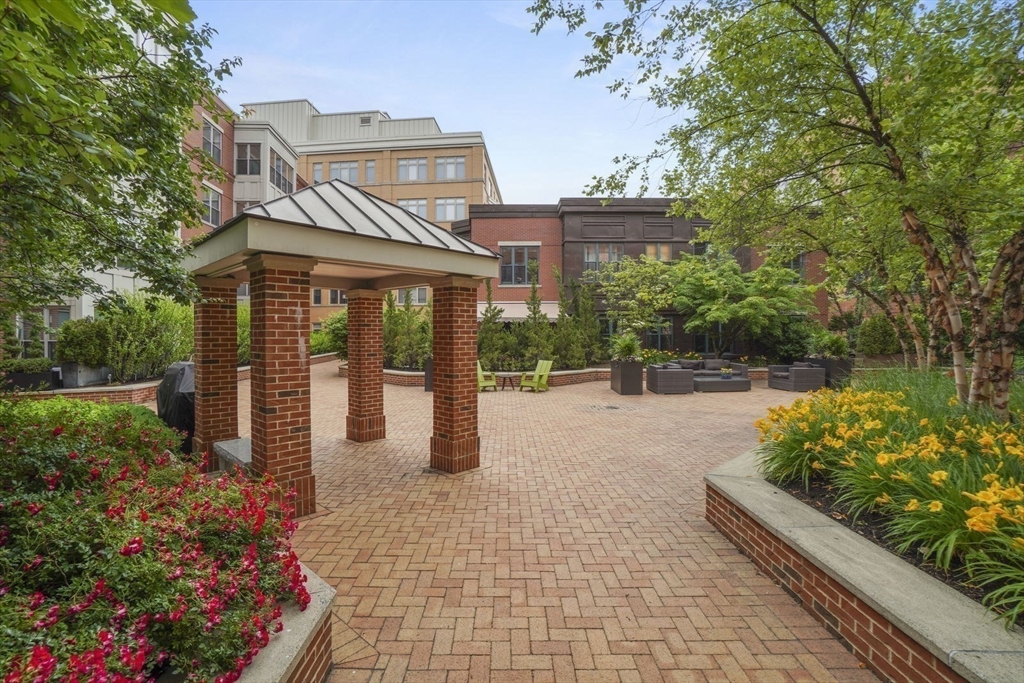 35 Fay Street, Unit 215 Boston, MA 02118 - Photo 11 of 14 a view of a garden with patio