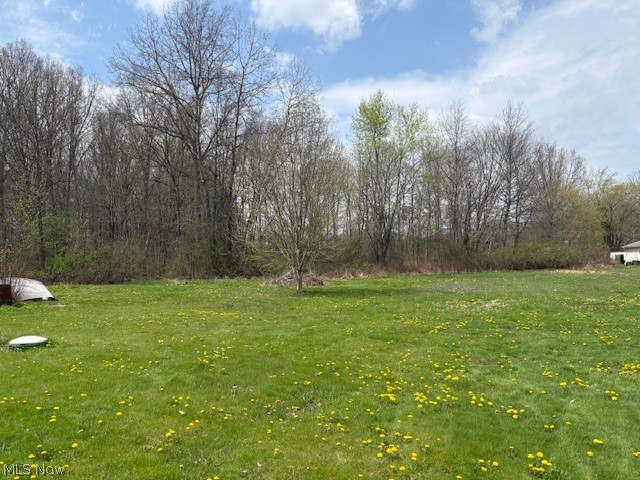 14065 Burden Road Northeast Alliance, OH 44601 - Photo 5 of 11