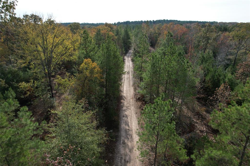 2300 Cr Grapeland Tx 75844  