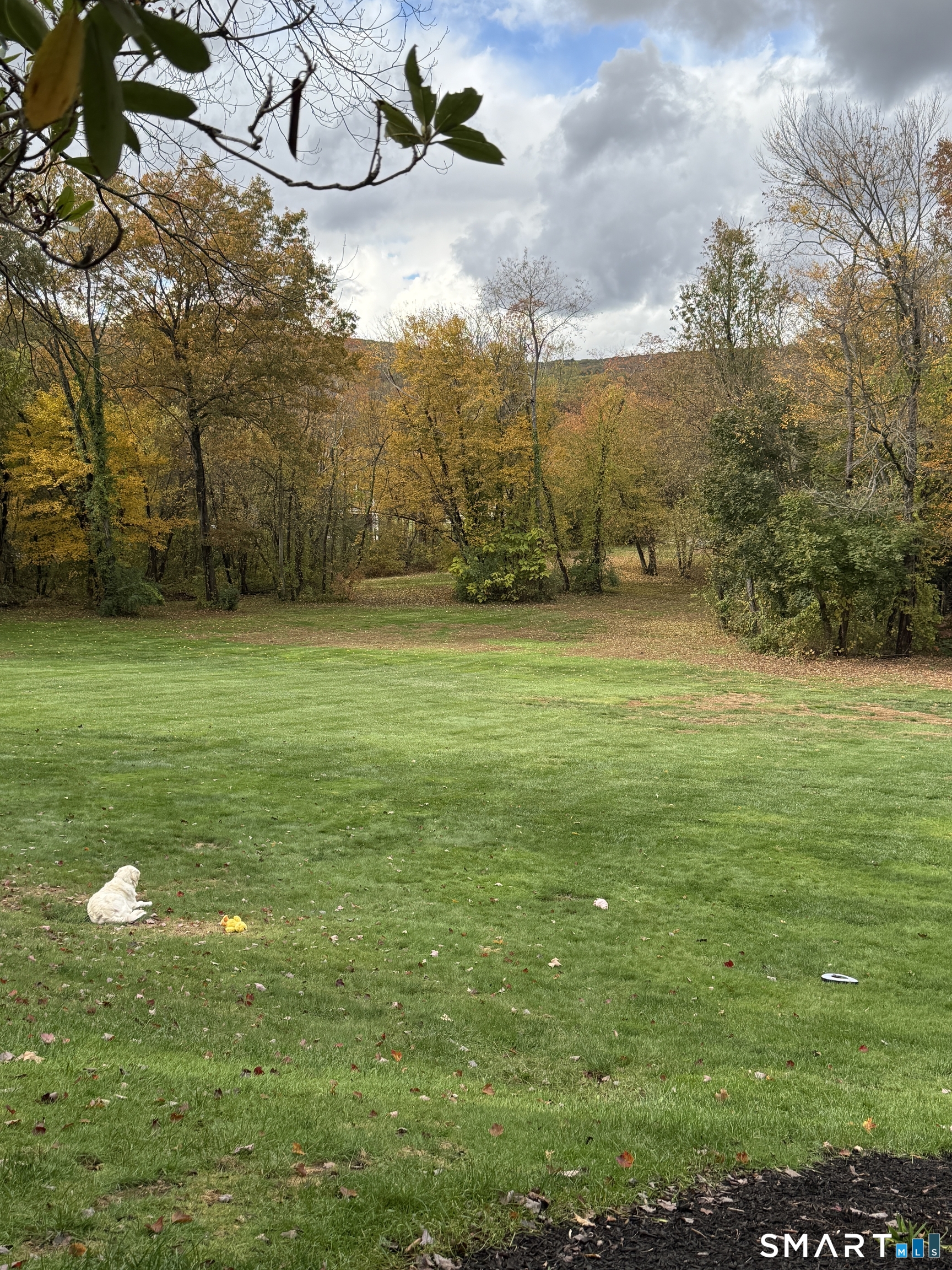 324 Old Farms Road Simsbury, CT 06070 - Photo 4 of 4