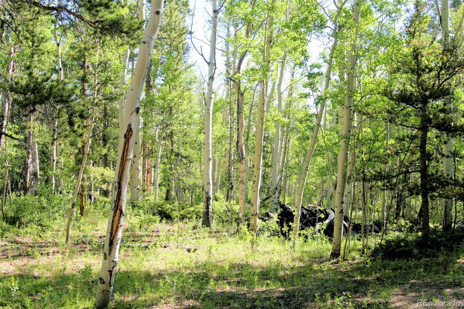 Kens Road Fairplay, CO 80440 - Photo 12 of 35 Gallery Image 12