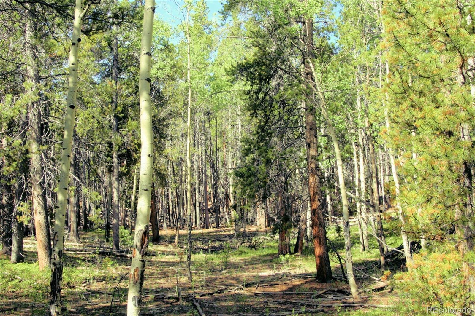 Kens Road Fairplay, CO 80440 - Photo 17 of 35 Gallery Image 17