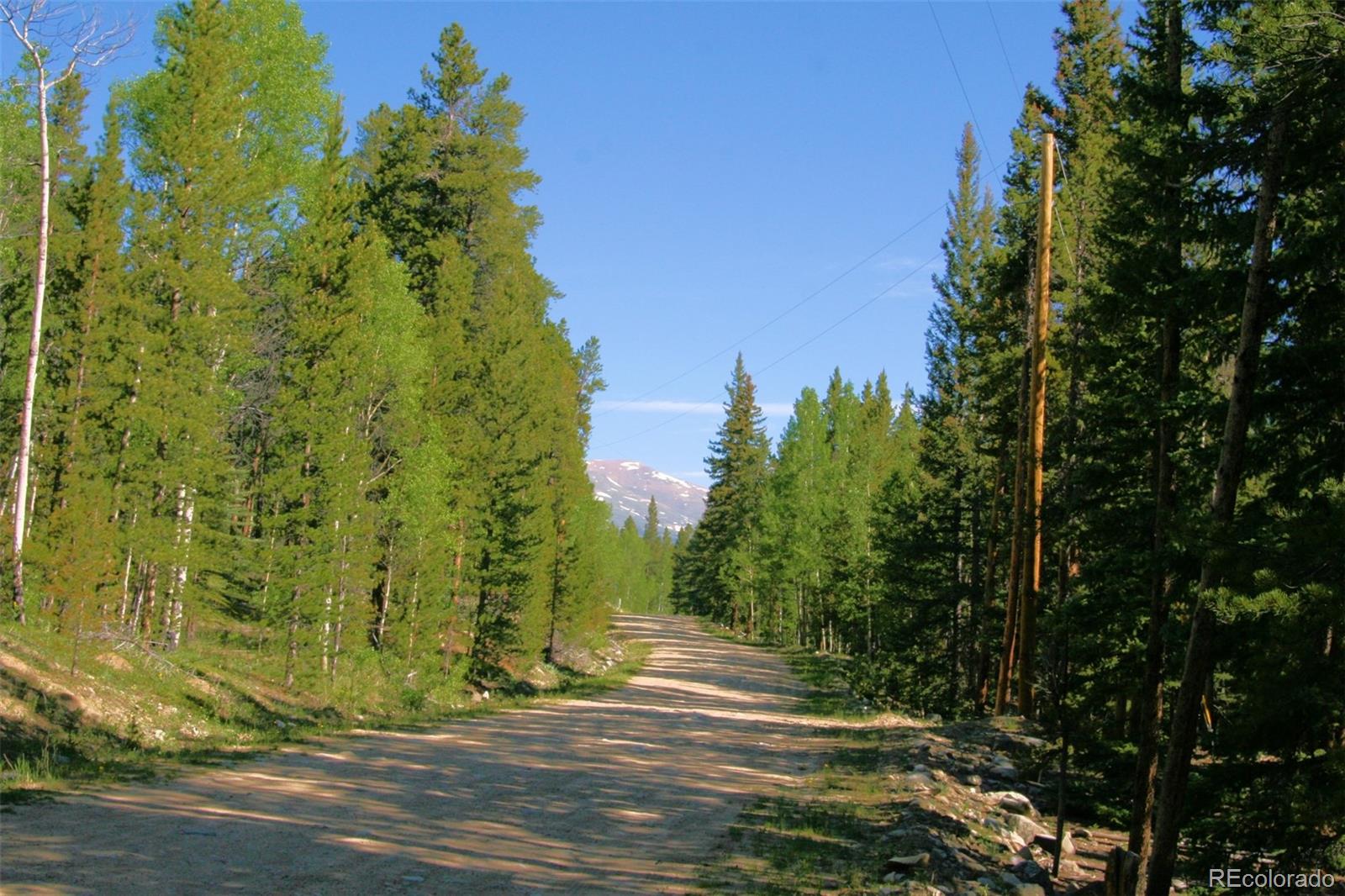 Kens Road Fairplay, CO 80440 - Photo 3 of 35 Gallery Image 3