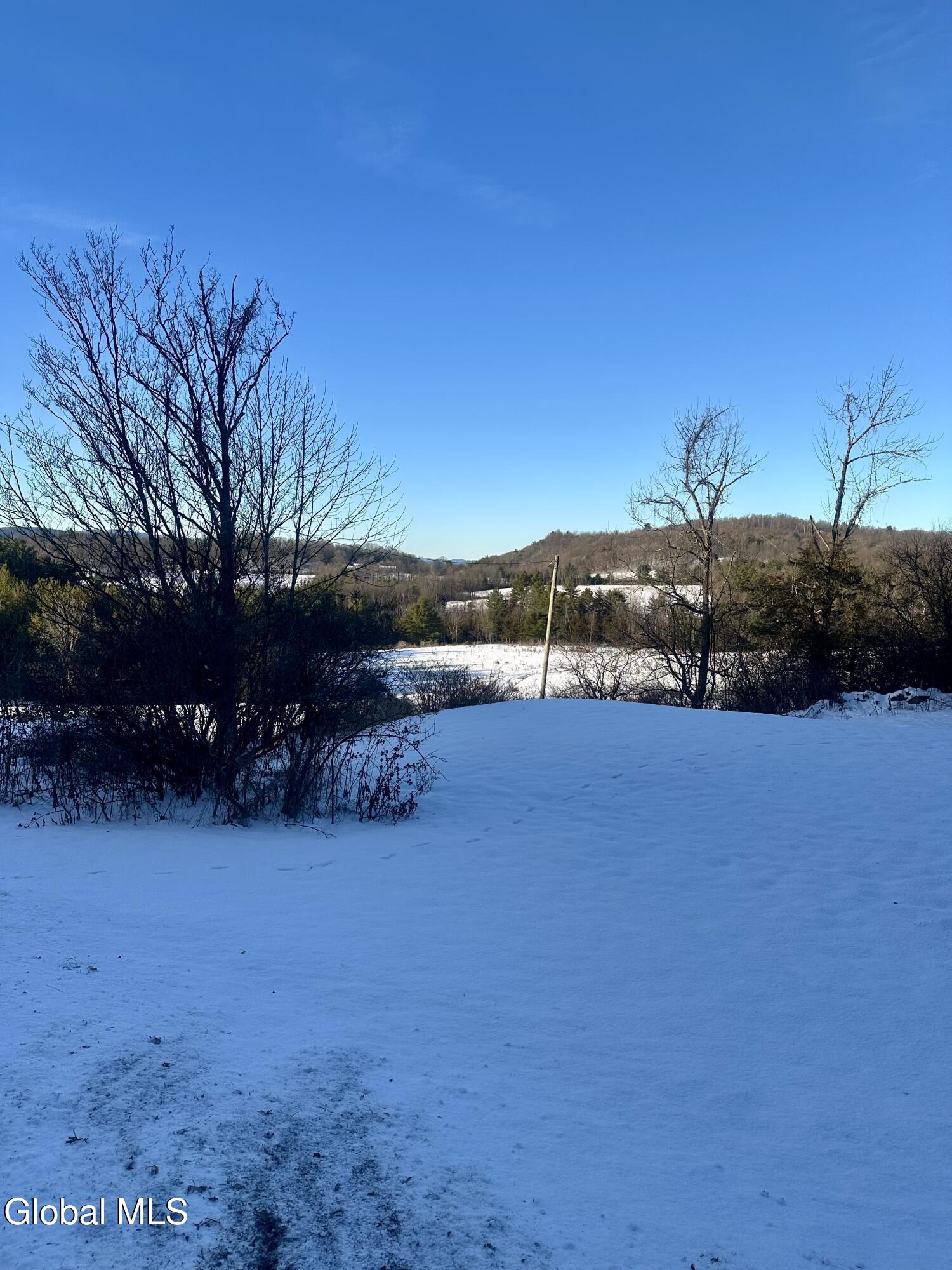 717 County Rte 9 Whitehall, NY 12887 - Photo 11 of 14 SRMN4979