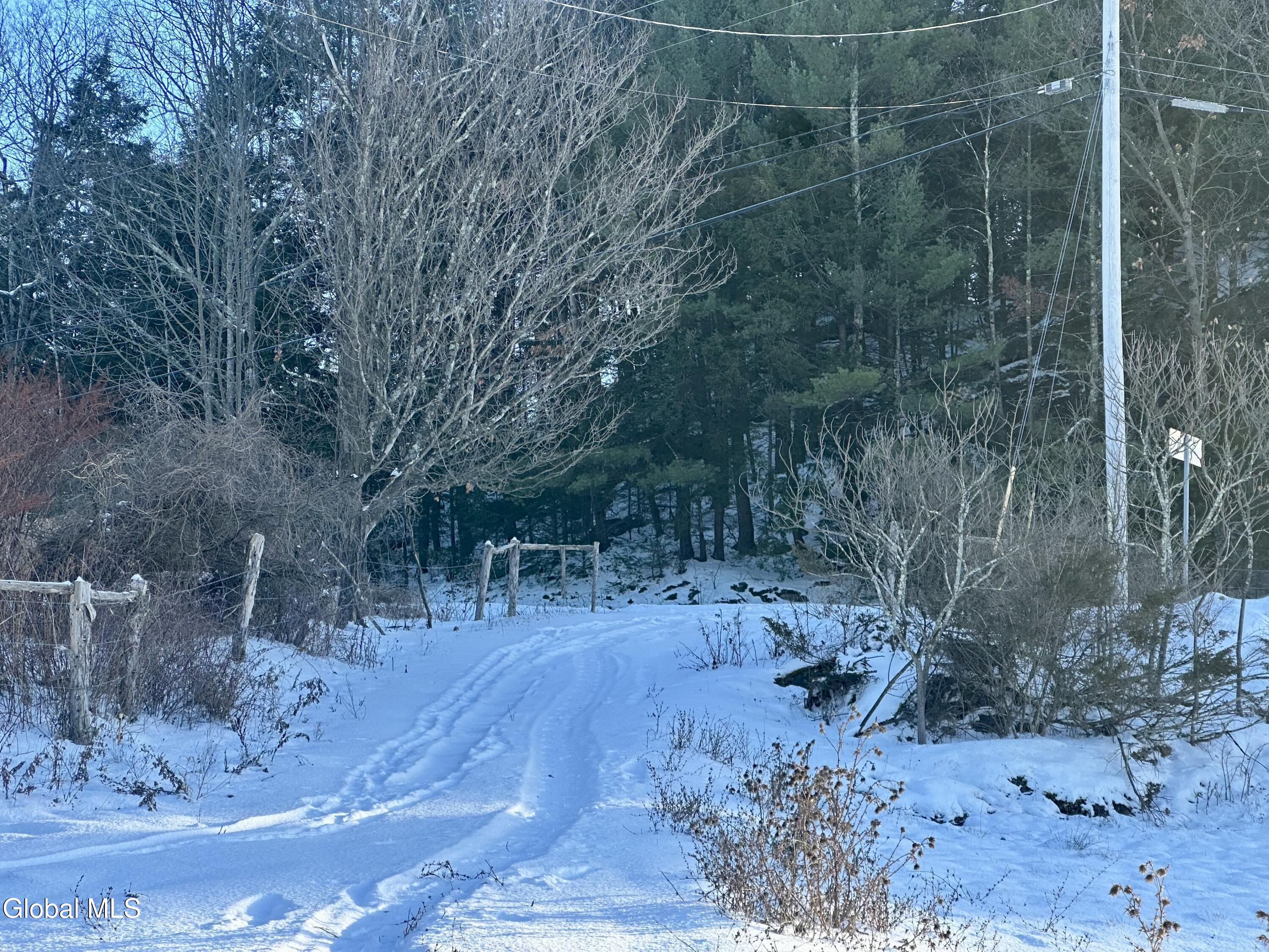 717 County Rte 9 Whitehall, NY 12887 - Photo 2 of 14 DCYV2310