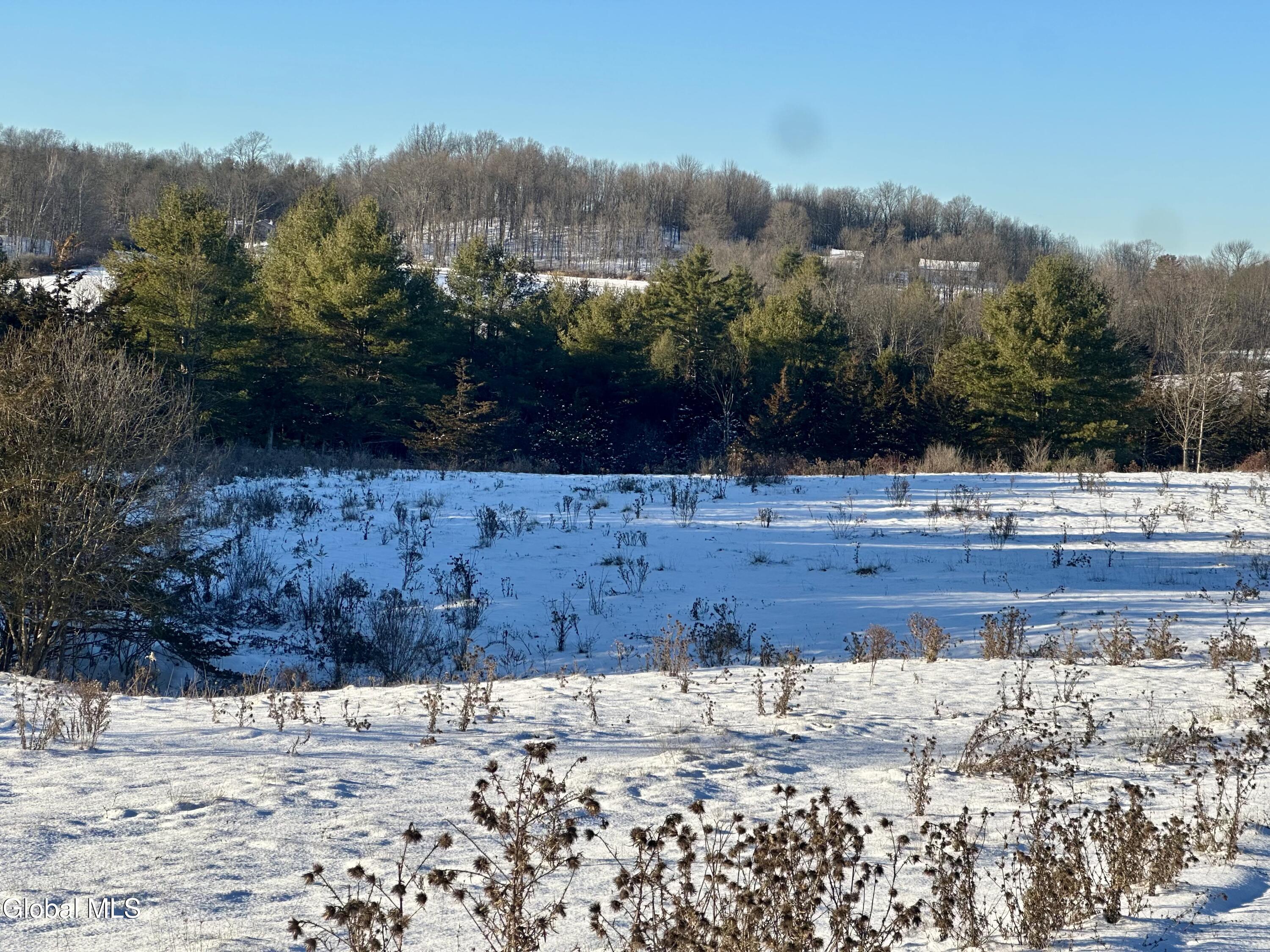 717 County Rte 9 Whitehall, NY 12887 - Photo 4 of 14 LVPU9875