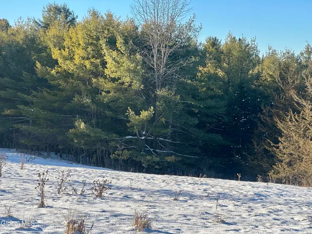 $79,900 | 717 County Rte 9, Whitehall, NY 12887