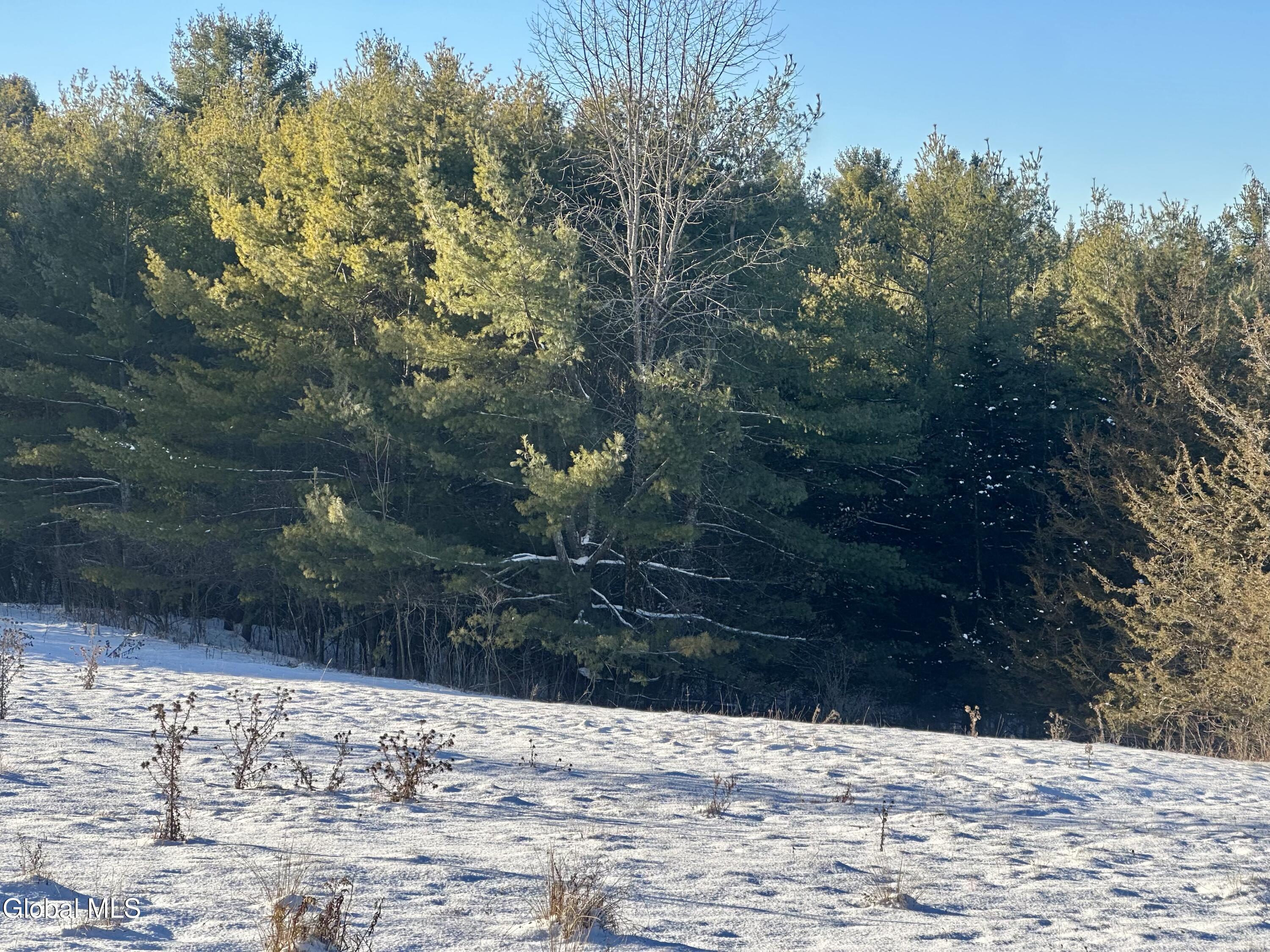 717 County Rte 9 Whitehall, NY 12887 - Photo 7 of 14 CFJO4085