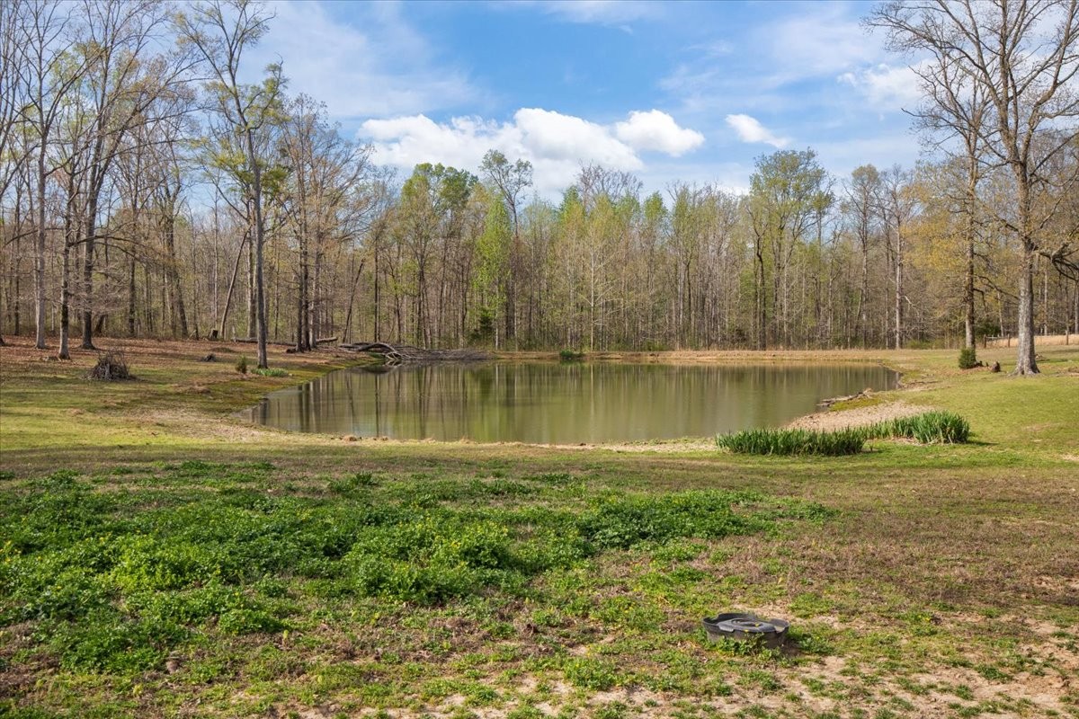 2038 Jack Saunders Road Waverly, TN 37185 - Photo 18 of 63