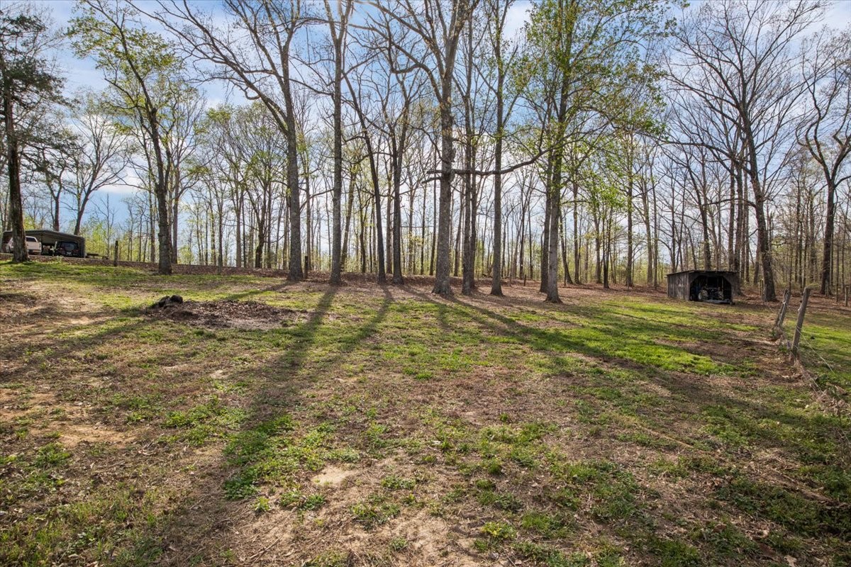 2038 Jack Saunders Road Waverly, TN 37185 - Photo 20 of 63