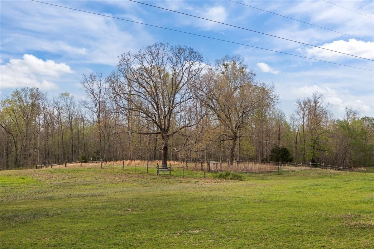 2038 Jack Saunders Road Waverly, TN 37185 - Photo 28 of 63