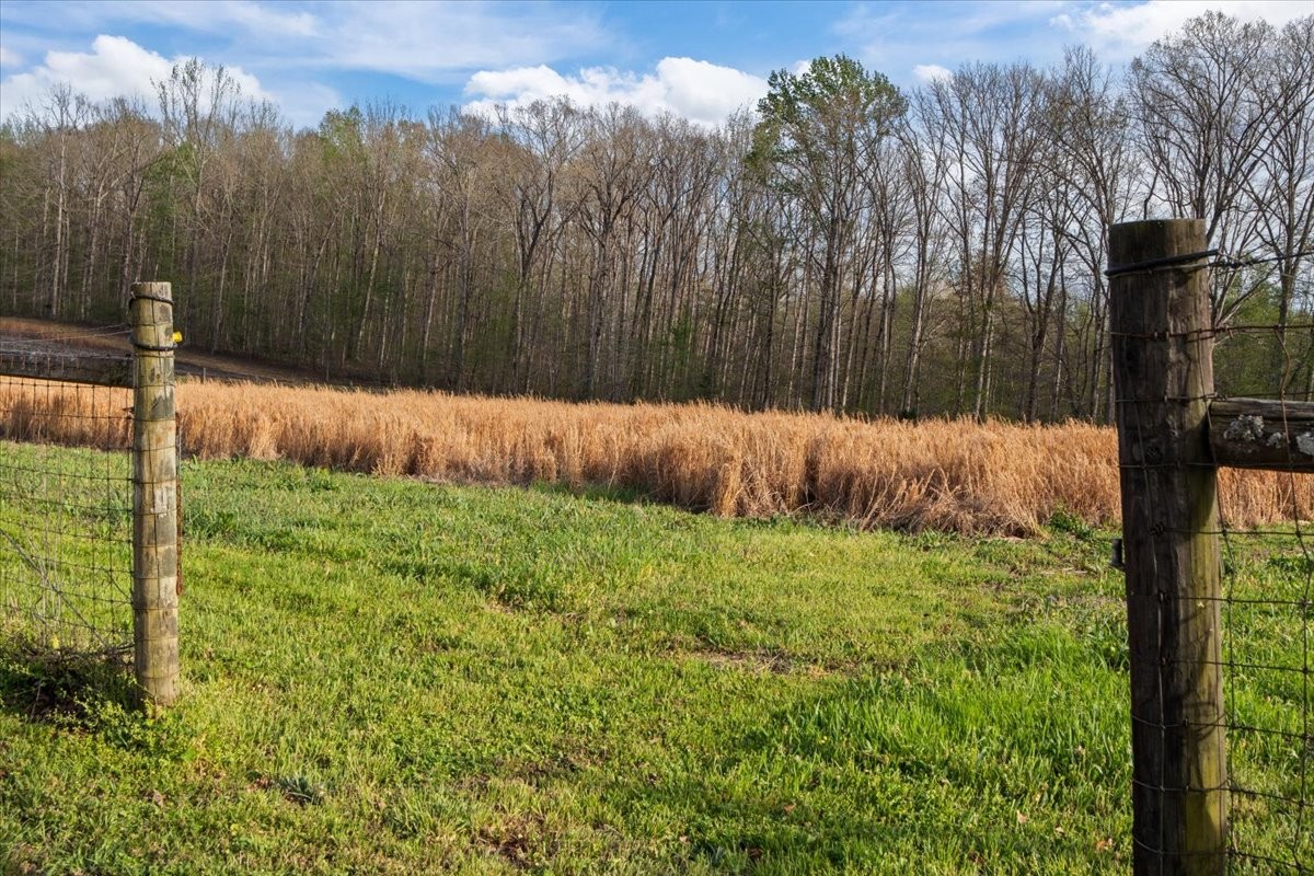 2038 Jack Saunders Road Waverly, TN 37185 - Photo 44 of 63