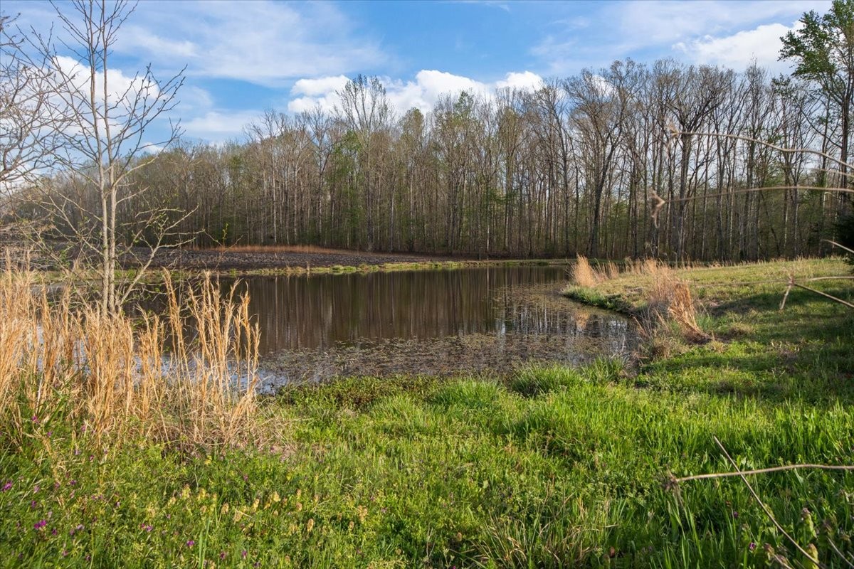 2038 Jack Saunders Road Waverly, TN 37185 - Photo 45 of 63