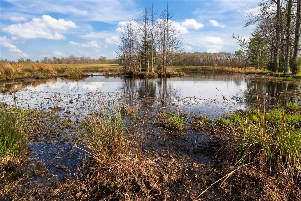 2038 Jack Saunders Road Waverly, TN 37185 - Photo 46 of 63